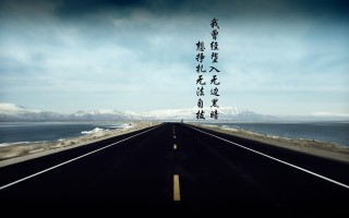 七星瓢虫的资料（探索七星瓢虫的生态奥秘）