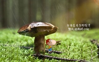 毛马齿苋（翠绿之韵：毛马齿苋的生态风采）